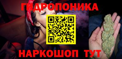 МДПВ Волгодонск