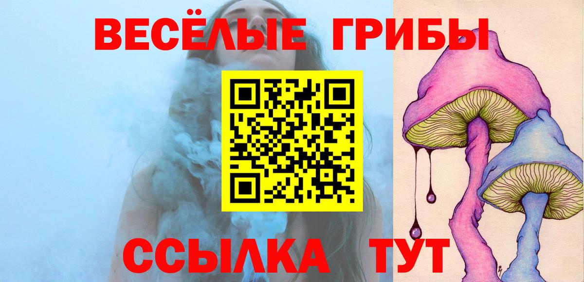 Псилоцибиновые грибы прущие грибы  Вход с VPN  Москва 