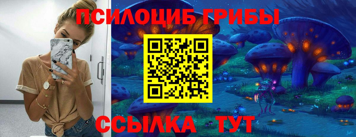 Галлюциногенные грибы мицелий Москва